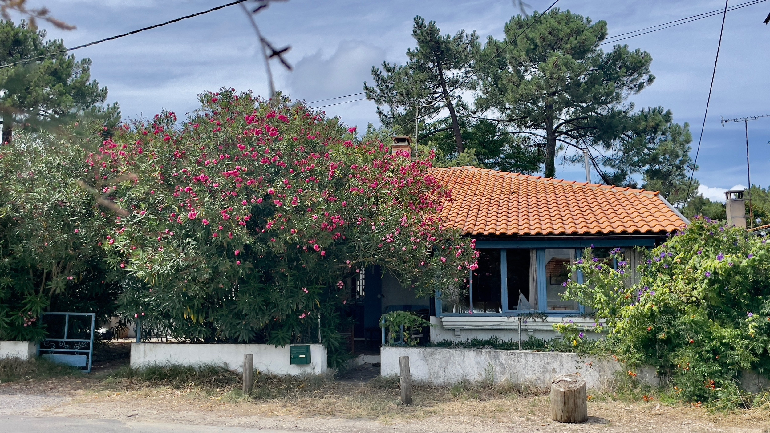 Photos n°1 : Villa 5 chambres CAP FERRET 